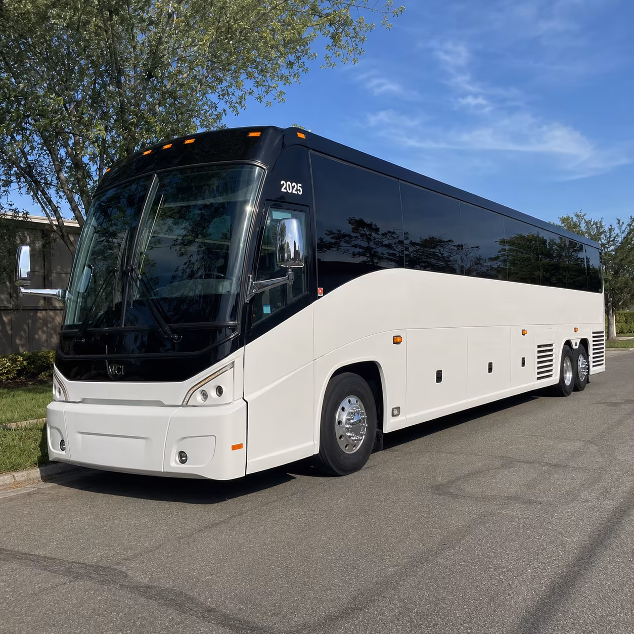 woodbury bachelor bachelorette transportation