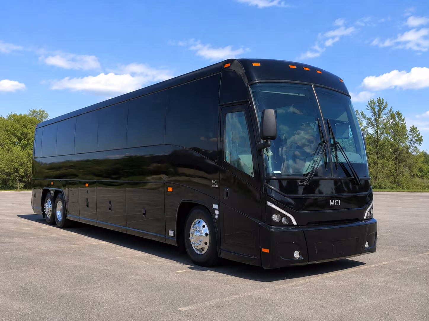woodbury birthday party transportation