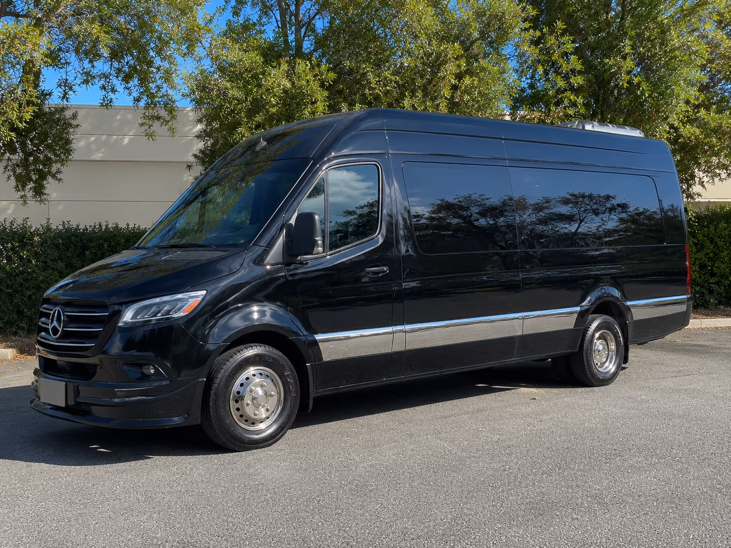 woodbury sprinter van with driver